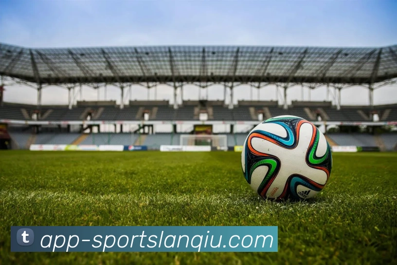 篮球赌注平台生态图